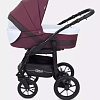 Универсальная коляска Rant Patio (2 в 1, 05, фиолетовый)