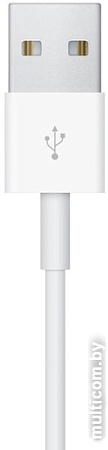 Кабель Apple MX2F2ZM/A