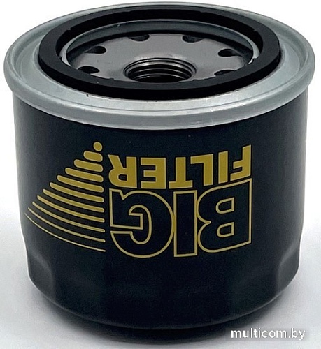 BIG Filter Spin-on GB-1059