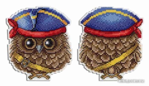 Набор для вышивания Жар-Птица Пират