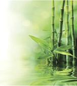 Шторка-занавеска для ванны JoyArty Бамбук у воды sc_12188