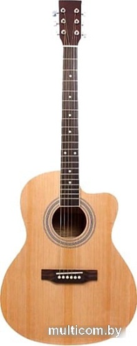 Акустическая гитара Aileen AF27A