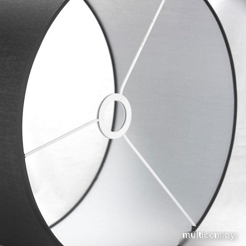 Торшер Lussole Seattle LSP-0631