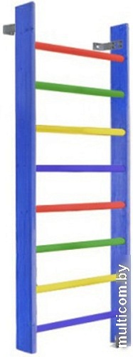 Шведская стенка (лестница) Dinamika Цветная ZSO-000067 (3.2x0.8, сосна)