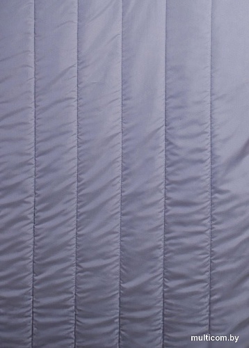 Реноме 2сп Deluxe Swan 150 Микрофибра 42/386 172x205