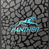 SSD Apacer Panther AS340 480GB AP480GAS340G-1