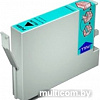 Чистящий картридж Epson C13T642000