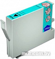 Чистящий картридж Epson C13T642000
