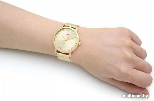 Наручные часы Timex TW2U05400