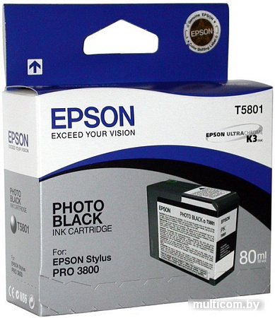 Картридж Epson C13T580100
