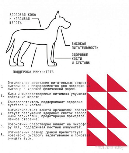 Сухой корм для собак AJO Dog Maxi Adult с гречкой для взрослых собак крупных пород 2 кг
