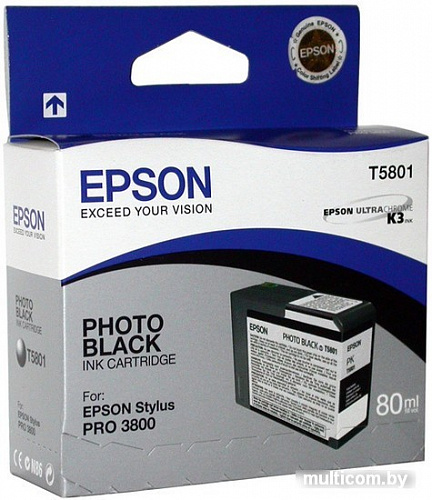 Картридж Epson C13T580100