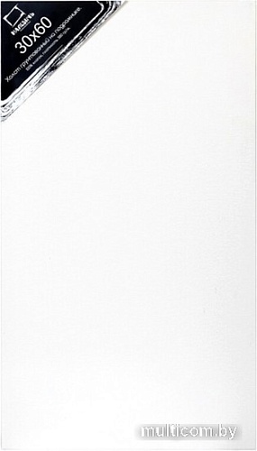 Холст для рисования Малевичъ На подрамнике 213060 (30х60см, хлопок)