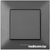 Выключатель Panasonic Arkedia Slim WNTC00012DG-BY