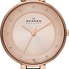 Наручные часы Skagen SKW2227