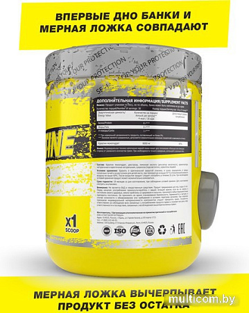 Моногидрат креатина Steelpower Creatine Plus (300 г, груша)