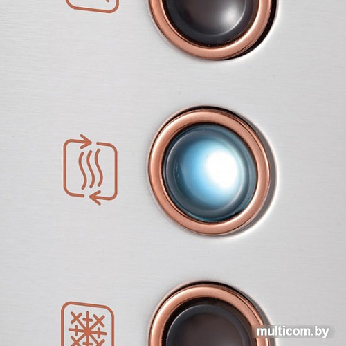 Тостер Morphy Richards Accents Rose Gold Brushed 242105