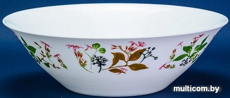 Столовый сервиз Luminarc Carine Prunier N2251