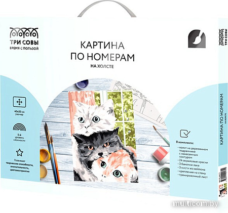 Картина по номерам Три совы Друзья КХ_44172
