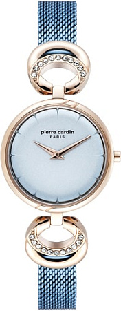 Наручные часы Pierre Cardin PC902752F04