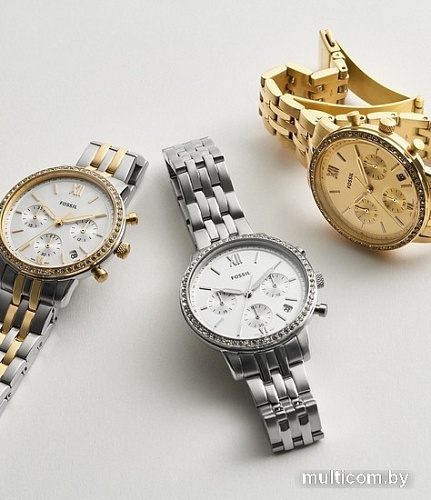 Наручные часы Fossil Neutra ES5219