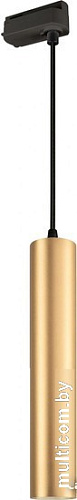 Трековый светильник Arlight LGD-PIPE-TRACK-HANG-2TR-R50-9W Day4000 037432