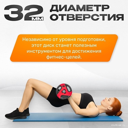 Набор дисков Sundays IR91041 2x1.25 кг