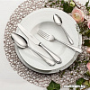 Набор столовых приборов Villeroy &amp; Boch Mademoiselle 12-6359-9037