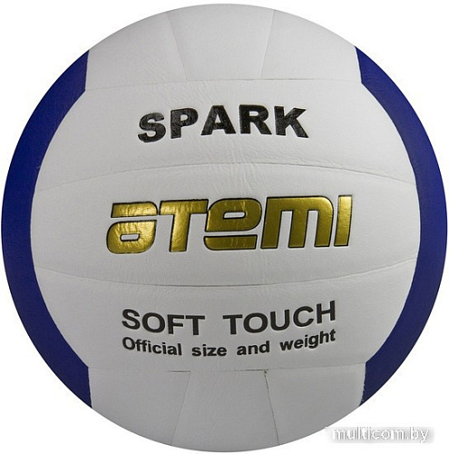 Мяч Atemi Spark