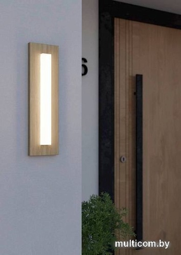 Уличный настенный светильник Eglo Bitetto 900679