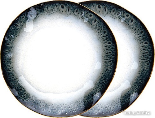 Набор тарелок Fissman Galactica 13631 (2шт)