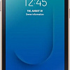 Смартфон Samsung Galaxy J2 Core 2020 SM-J260FU/DS 1GB/16GB (золотистый)