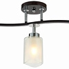 Подвесная люстра Citilux Фортуна CL156132