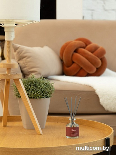 Аромадиффузор Arida Home Hygge №22 Персик и пион (50 мл)