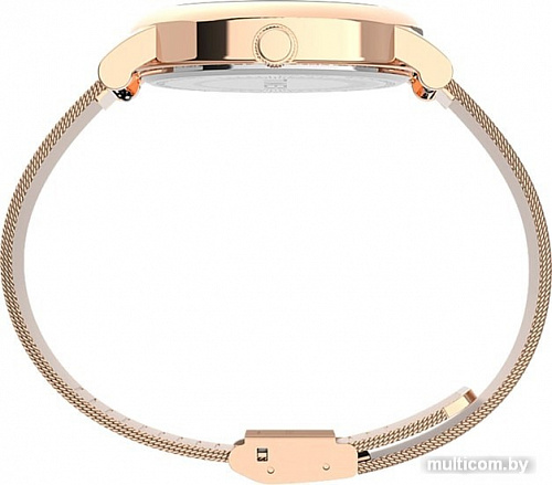 Наручные часы Timex Full Bloom TW2U18700