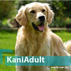 Сухой корм для собак Quicker Kani Adult Lamb 10 кг