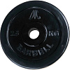 Диск DFC WP021-26-2.5 2.5 кг