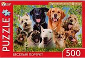 Пазл Умные игры Веселый портрет 4680107925626 (500 эл)