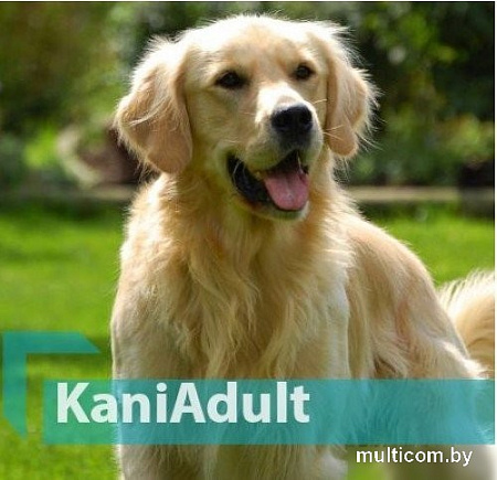 Сухой корм для собак Quicker Kani Adult Lamb 10 кг