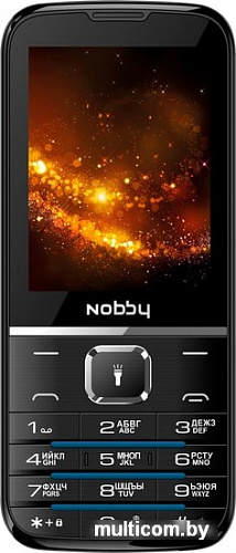 Мобильный телефон Nobby 310 (черный/синий)