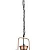 Подвесная люстра ST Luce Lanterio SL404.403.01
