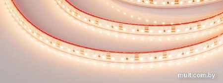 Светодиодная лента Arlight RTW-PS-A120-10mm 12V Warm3000 022320(2)