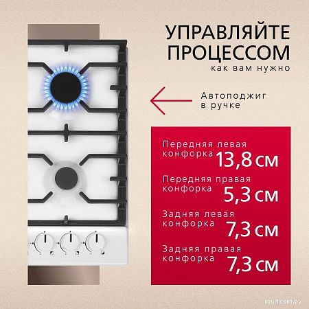 Варочная панель Hansa BHGW611839