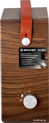 Тепловентилятор Brayer BR4860