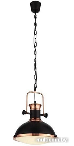 Подвесная люстра ST Luce Lanterio SL404.403.01
