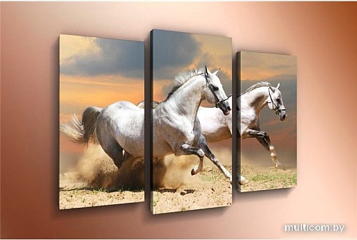 Модульная картина Arthata m-000324 120x80