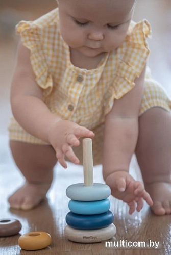 Пирамидка Plan Toys Кольца 5474