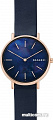 Наручные часы Skagen SKW2731