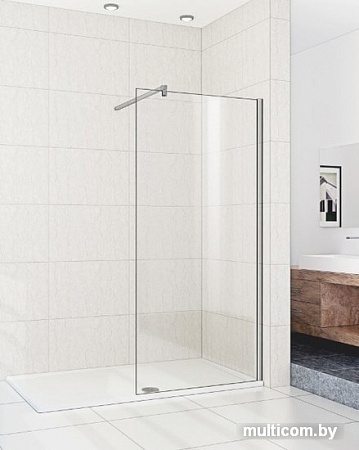 Душевая стенка WeltWasser WW400 100G-1