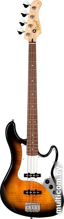 Бас-гитара Cort GB24JJ 2T
